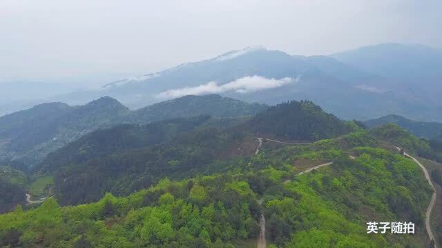 四川达州:航拍白腊坪 云海奇松溶洞 家门口的免费美丽风景