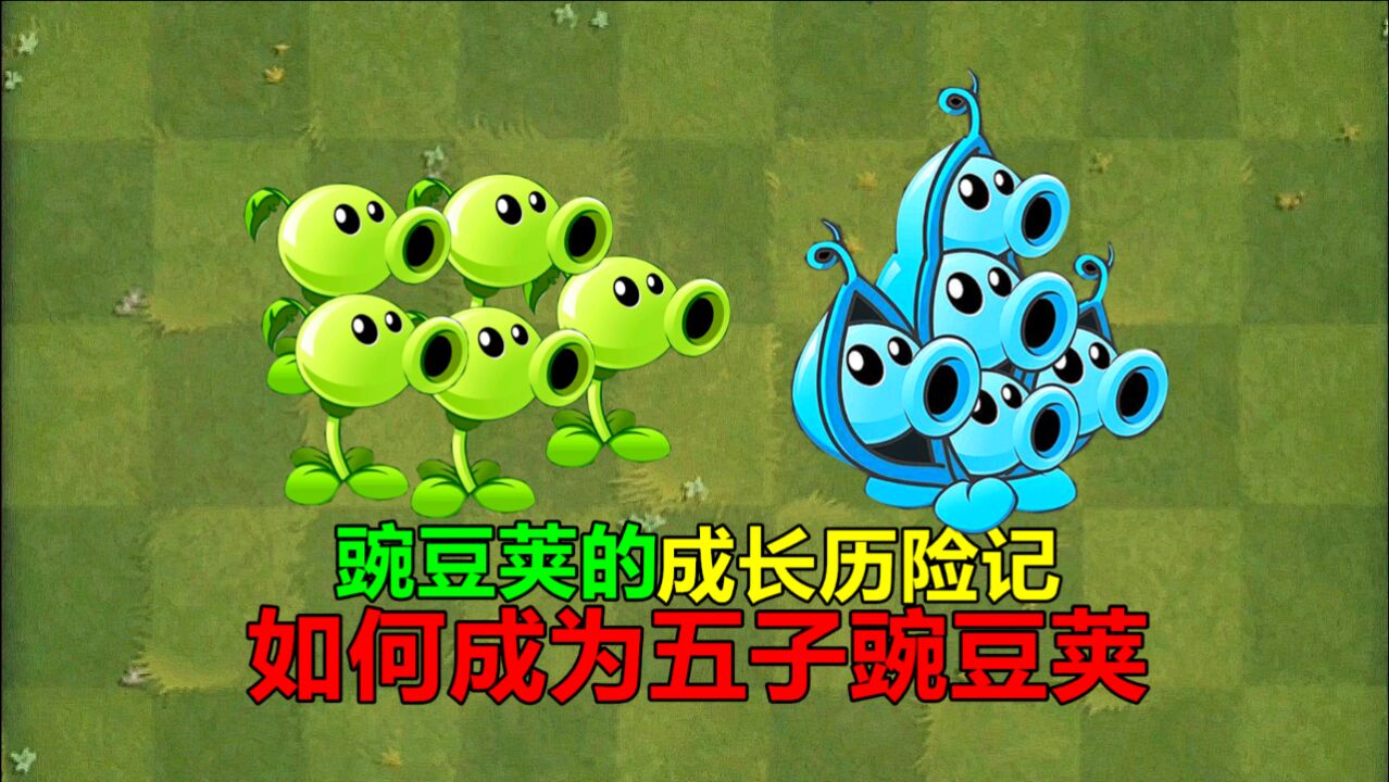 【pvz沙雕配音】豌豆荚的成长历险记之如何成为五子豌豆荚