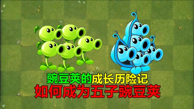 【pvz沙雕配音】豌豆荚的成长历险记之如何成为五子豌豆荚