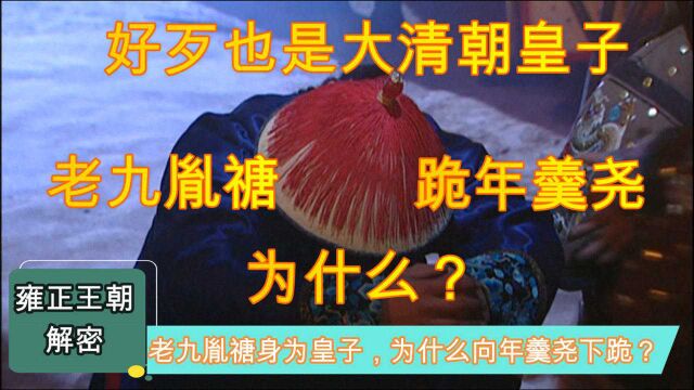 雍正王朝:九阿哥胤禟好歹也是个皇子,他为什么要向年羹尧下跪?