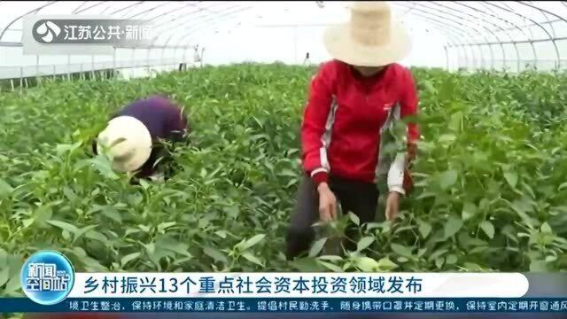 聚焦关键环节 乡村振兴13个重点社会资本投资领域发布