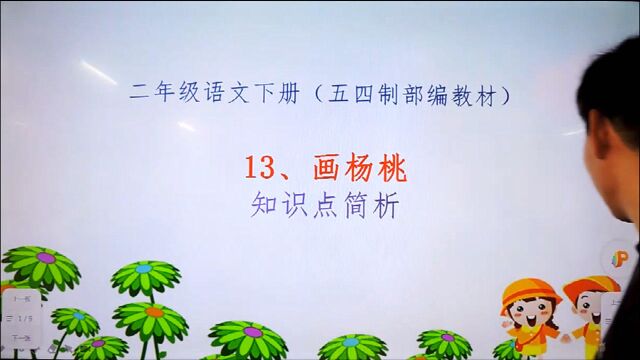 二年级语文下册13课《画杨桃》知识点简析