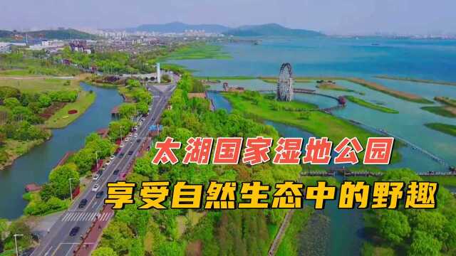 太湖国家湿地公园,苏州自驾必去的地方,享受自然生态中的野趣