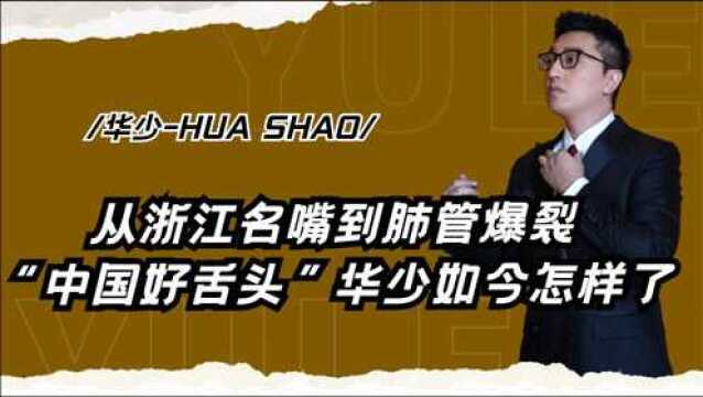 “中国好舌头”华少:因高以翔事件惨遭质疑,过度劳累致肺管爆裂