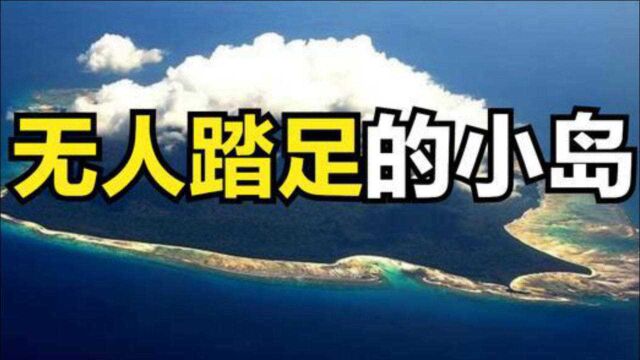 北森提奈岛上究竟发生了什么,为何无人能够踏足?3