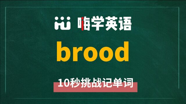 一分钟一词汇,小学、初中、高中英语单词五点讲解,单词brood你知道它是什么意思,可以怎么使用