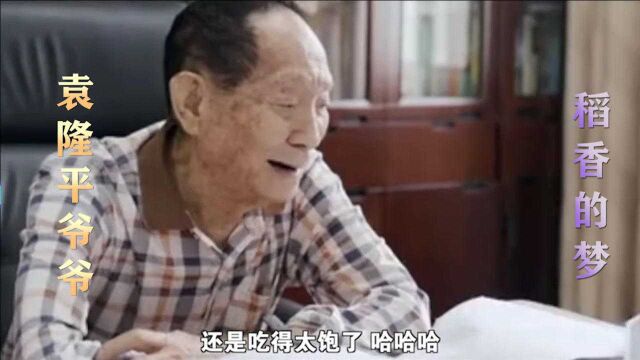 袁隆平版稻香:我有一个禾下乘凉梦