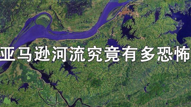 亚马逊河流究竟有多恐怖?为何连当地人都不敢下河洗澡