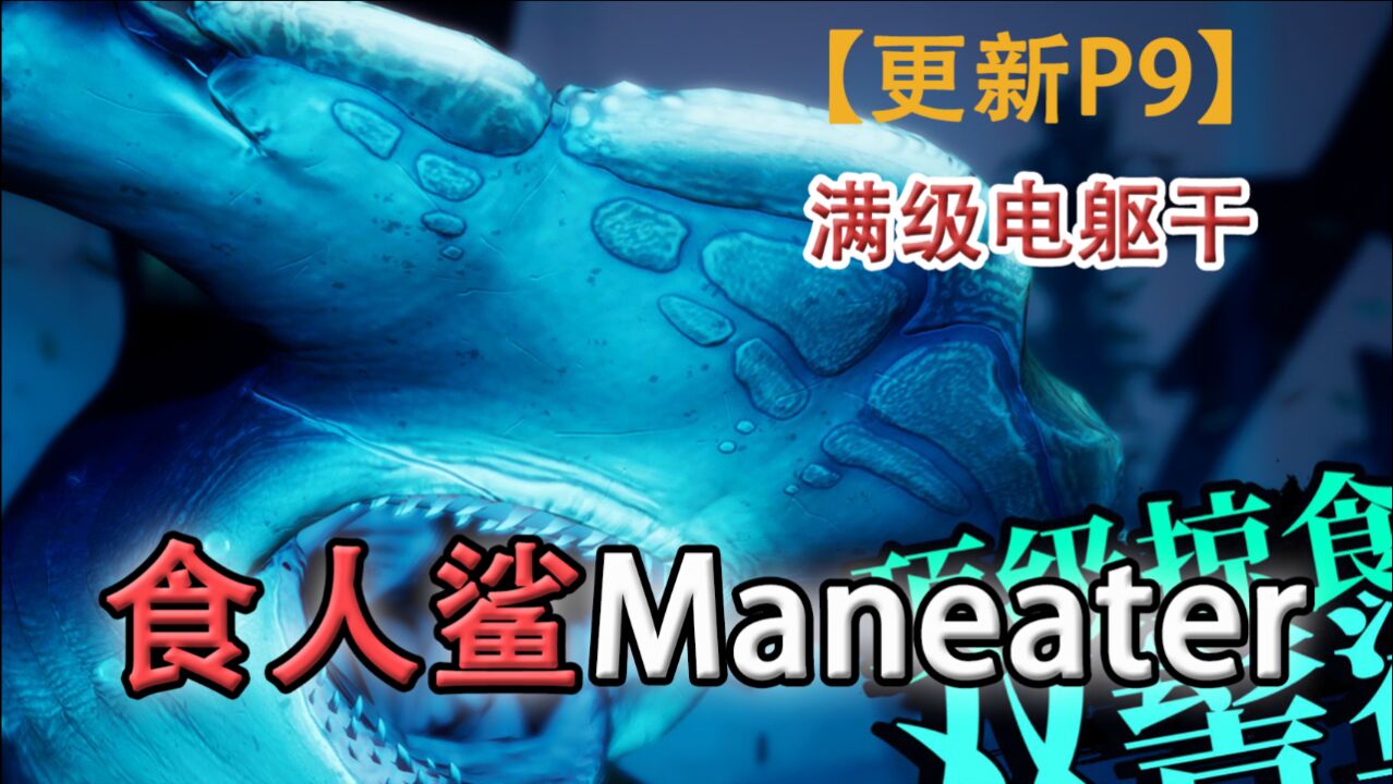 嗨氏《食人鲨Maneater》:09满级电躯干帅的亚匹