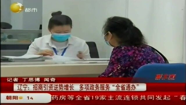 辽宁:招商引资逆势增长,多项政务服务“全省通办”