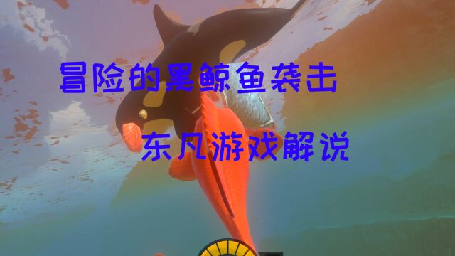 海底大猎杀:无敌的黑鲸鱼,简直好猖狂的,疯狂袭击?