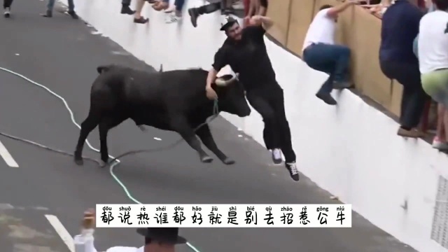 老牛被2条恶犬偷袭,老牛却突然发怒,镜头记录恶犬悲惨画面