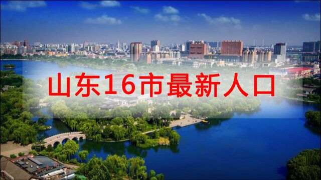 山东16市最新人口:青岛人口破千万,泰安人口负增长