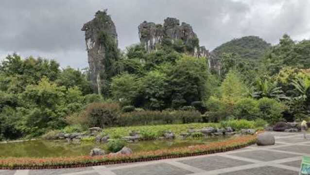 走近骆驼山,桂林山水的代表,神形毕肖一头骆驼,令人惊叹自然造化之巧妙!