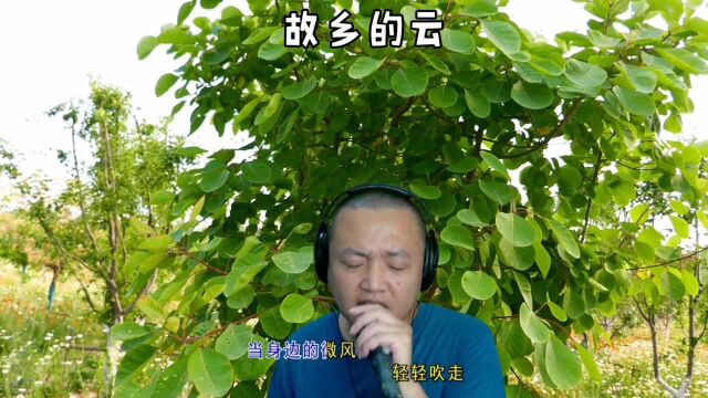 那故乡的风,那故乡的云,为我抚平创伤《故乡的云》