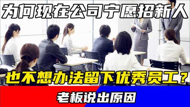 为何现在公司宁愿招新人,也不想办法留下优秀员工?老板说出原因