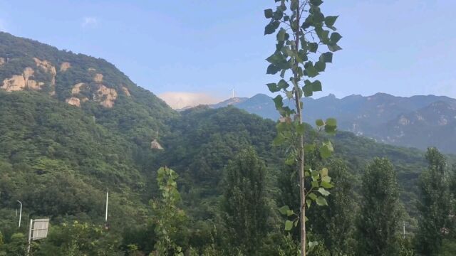 河南:走在快乐的林荫小道,欣赏伏牛山群朴实无华的美景