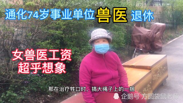 东北74岁畜牧局兽医退休,退休金又涨了,退休工资开多少?