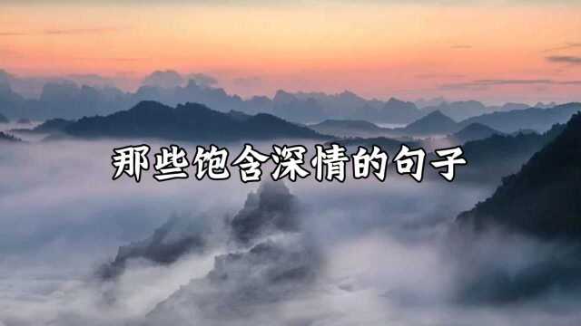 [摘抄]张爱玲:我想从你的窗子里看月亮.