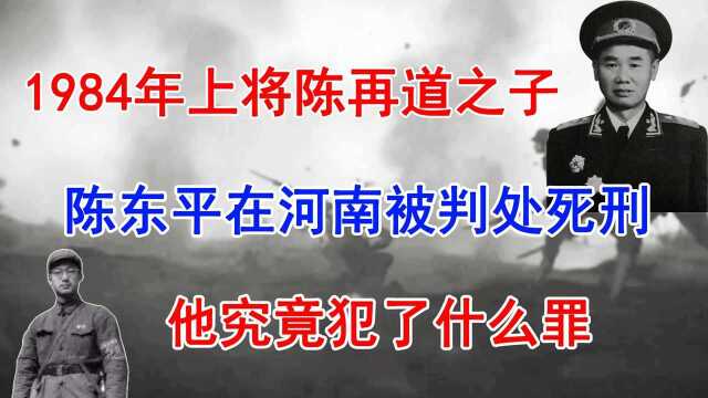 1984年,上将陈再道之子陈东平,在河南被判处死刑,他做了什么?