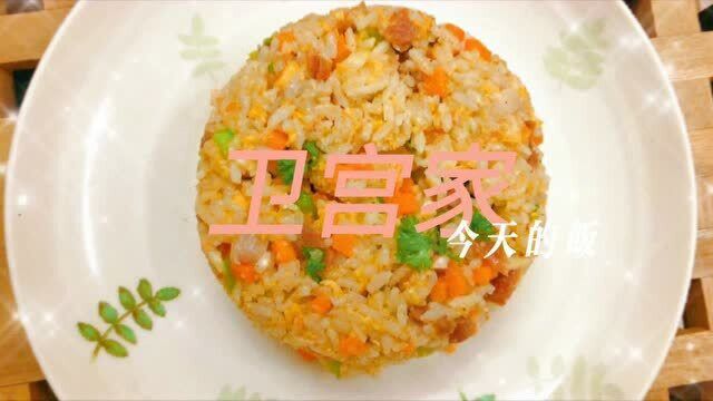 卫宫家今天的饭:什锦炒饭