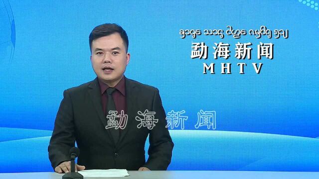 2021年度勐海共青团党风廉政建设暨意识形态工作会议召开