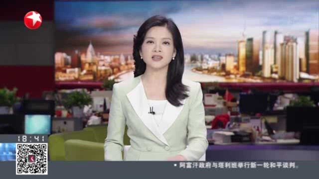 上海奉贤:“美丽约定”激活基层治理“神经末梢”