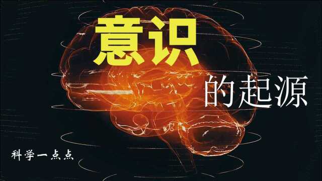 意识起源(字幕1080)