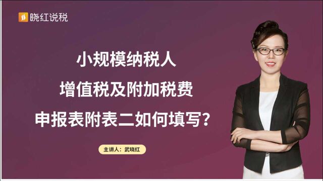 小规模纳税人增值税及附加税费申报表附表二如何填写?