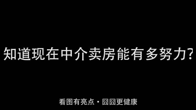 现在干什么都得讲情怀,你知道现在中介卖房能有多努力吗?