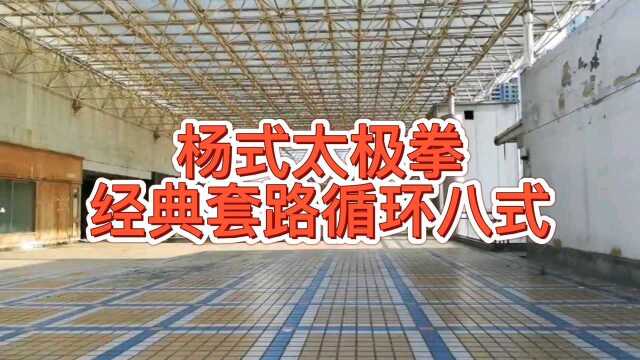 杨式太极拳经典套路循环八式 孙彩霞老师演练