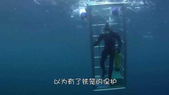 一群人隔着笼子斗牛,本以为万无一失,不料下一秒发生事故