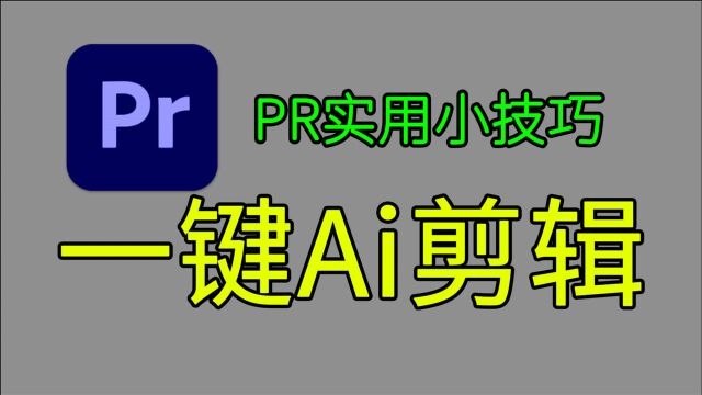 【PR实用小技巧01】场景编辑检测