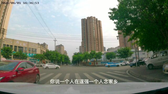 本君VLOG 记录重庆潼南相关风景 超清4K视频旅游 21版本第 (58)