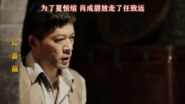 红蔷薇 第9集(01)为了夏恒煊 肖成碧放走了任致远