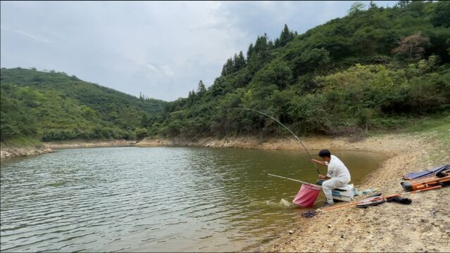 废弃8年的深山水坑,村民看见水里有巨物浮游,看看它到底是什么