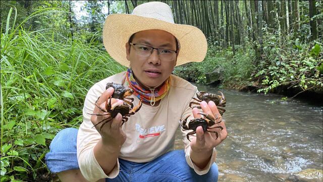 最近这种山螃蟹火了,福建老板出90元1斤收购,村民靠它日赚900元