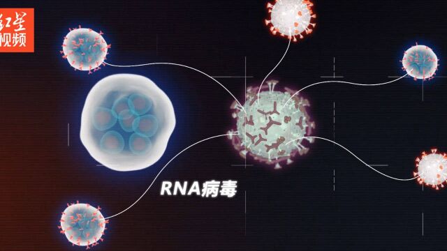 德尔塔还没完拉姆达又来了?新型变异毒株拉姆达特点解析