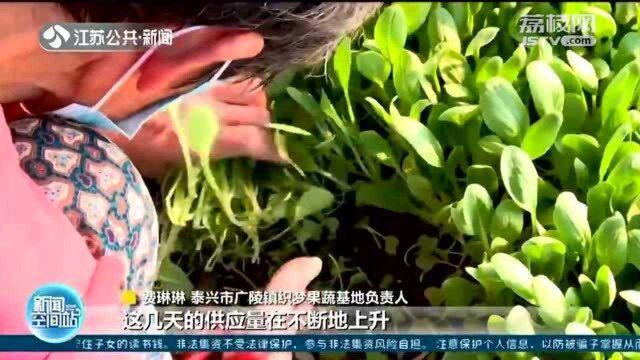 暖心驰援 泰兴果蔬基地支援扬州“菜篮子”