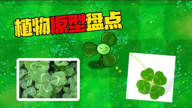 pvz盘点:象征幸运的四叶草,你有见过吗?