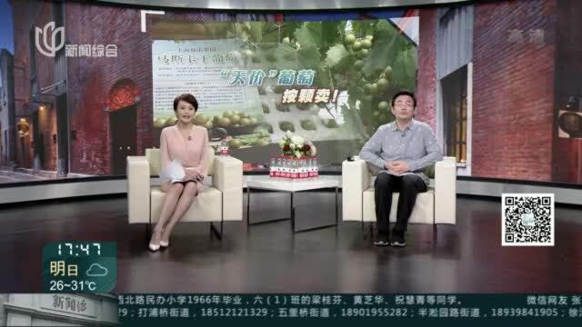 “天价”葡萄按颗卖 口味独特营养好