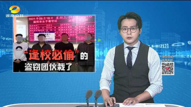 益阳:“逢校必偷”的盗窃团伙栽了 四人被刑拘