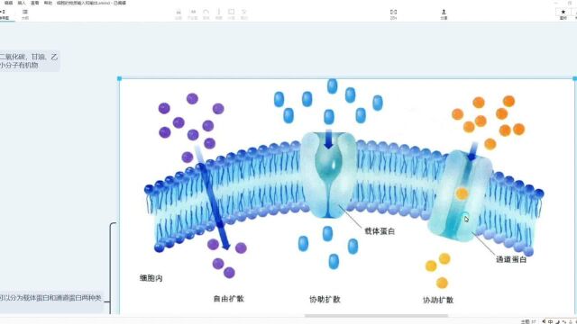 高中生物第四章思维导图下