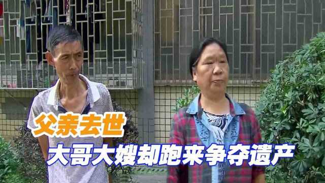 大哥大嫂不知廉耻,父亲生前从不尽孝,父亲去世却跑来争夺遗产