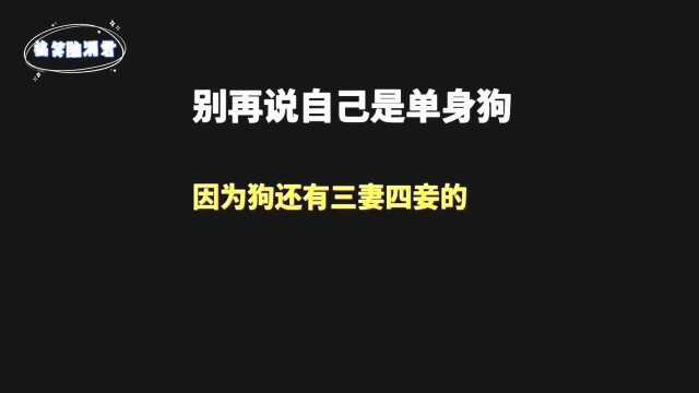 盘点全网让人怀疑人生的反鸡汤,太真实