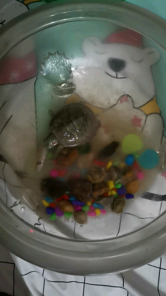 Thumbplayer Poster Plugin Image