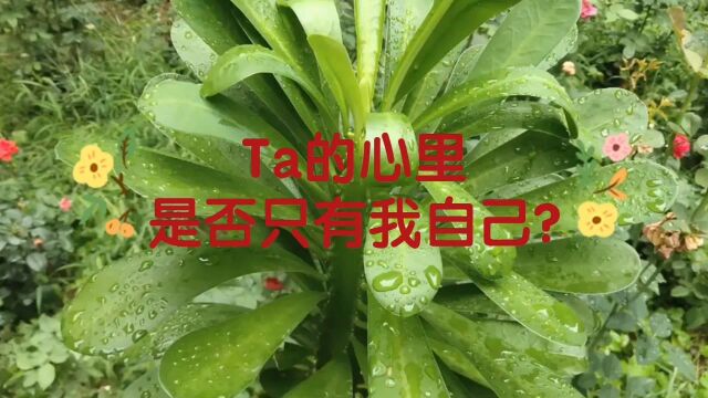 ta心里是否只有我自己?