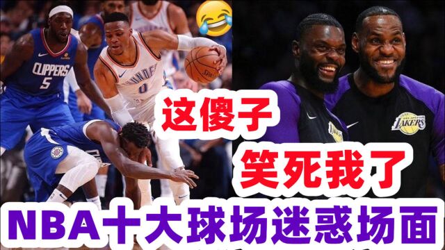 你是哪蹦出的憨憨!NBA十大球场迷惑场面 浓眉挑起眉毛舞 詹姆斯太顽皮