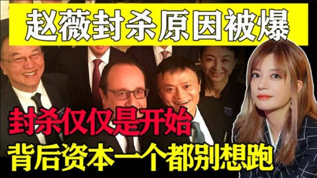 赵薇身边的雷终于爆了,身后大佬一个别想跑,黑历史贯通演艺生涯