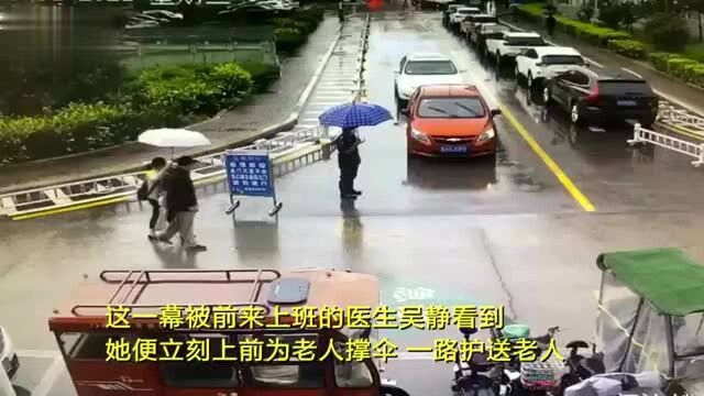 视频|这个雨中撑伞的背影,好美